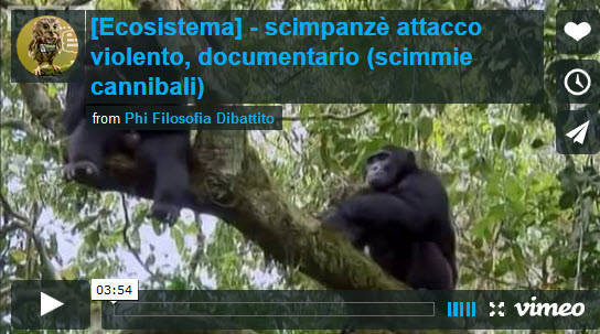 video documentario scimmie cannibali