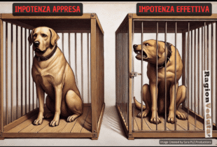 impotenza appresa impotenza effettiva psicologia - ragionveduta.it